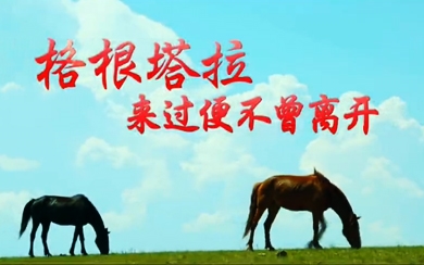 &#20061;&#24030;&#20307;&#24425;&#45;&#20061;&#24030;&#65288;&#20013;&#22269;&#65289;